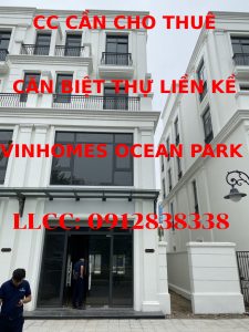 Chính chủ cần cho thuê căn biệt thự đập thông liền kề Vinhomes Ocean Park – Gia Lâm – Hà Nội