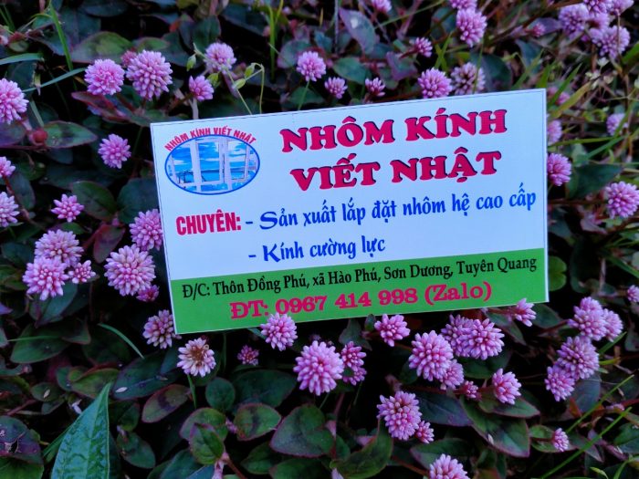 ĐỒ GỖ VIẾT NHẬT