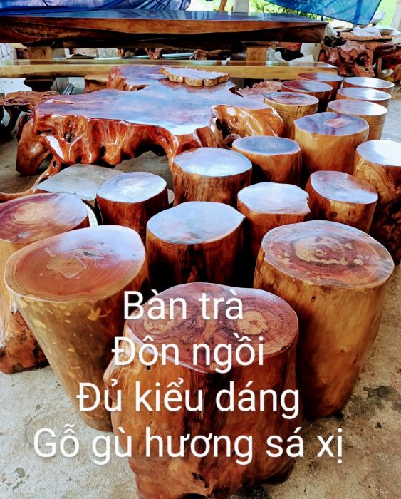 SÁ XỊ ĐỎ QUẢNG NGÃI ( YẾN PHI )