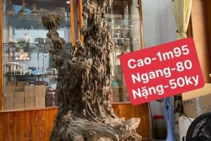 CHUYÊN TRẦM HƯƠNG ĐỦ LOẠI THU THẢO – XIN KÍNH CHÀO QUÝ KHÁCH