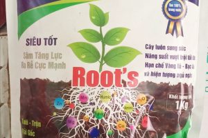 HUMIC USA THUỐC BỔ CHO CÂY TRỒNG,BẠN CỦA NHÀ NÔNG