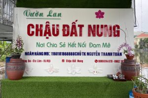 VƯỜN LAN CHẬU ĐẤT NUNG