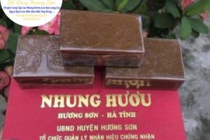 Cao nhung hươu Hương Sơn Hà Tĩnh