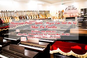 Piano, Organ liên tục về ngập cửa hàng phục vụ cho cả nhà rùi ah!