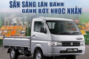 CARRY PRO – SẴN SÀNG LĂN BÁNH, GÁNH BỚT NHỌC NHẰN