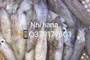 ☘ HẢI SẢN NHI NHI – XIN KÍNH CHÀO QUÝ KHÁCH ☘