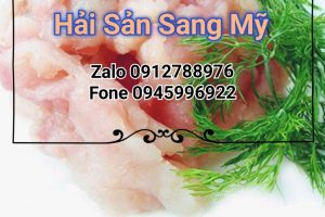 HẢI SẢN SANG MỸ – CHUYÊN KINH DOANH CHẢ CÁ THÁC LÁC CHỢ ĐẦU MỐI BÌNH ĐIỀN