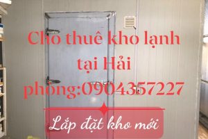 công ty Cty Dameco VN – damecomart. Chuyên cung cấp dịch vụ cho thuê kho lạnh tại Hải Phòng đảm bảo uy tín, chất lượng