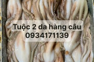 HẢI SẢN GIA HÂN – CHUYÊN BUÔN BÁN HẢI SẢN TƯƠI – ĐÔNG LẠNH