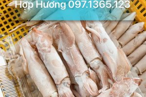 HẢI SẢN HỢP HƯƠNG – CHUYÊN BÁN BUÔN MỰC HẤP