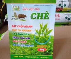 GIẢI PHÁP DINH DƯỠNG HÀNG ĐẦU CHO CÂY TRỒNG