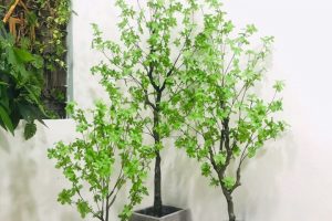 🍀 Linh Decor – CHUYÊN DECOR CÂY GIẢ sỉ lẻ sll🌳🌳