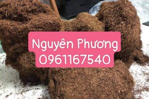 THUỐC LÀO NGUYÊN PHƯƠNG XIN KÍNH CHÀO QUÝ KHÁCH HÀNG