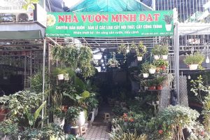 NHÀ VƯỜN MINH ĐẠT XIN KÍNH CHÀO QUÝ KHÁCH